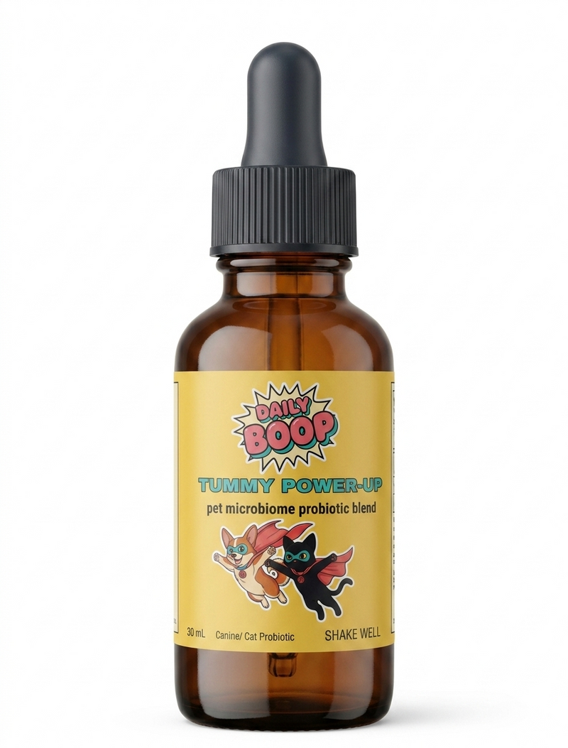Tummy Power Up Probiotic Liquid Supplement - Gut, Skin & Joint Health with PEA, Turmeric & Collagen