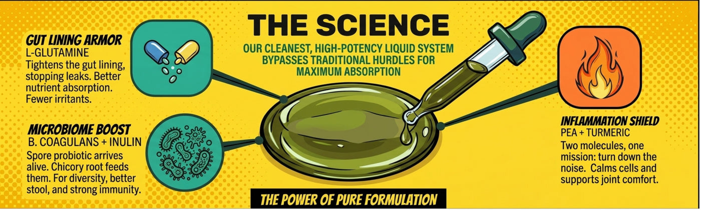 Daily Boop — The Science Behind Every Boop